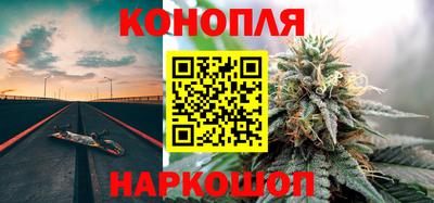 сатива Коммунар