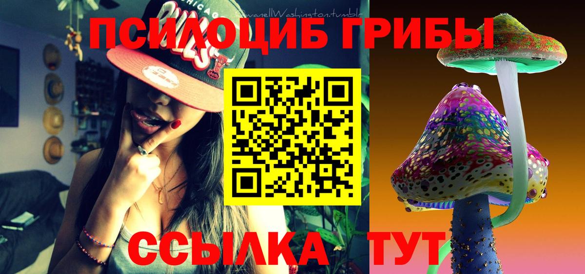 Псилоцибиновые грибы ЛСД  Вход с VPN  Заводоуковск 